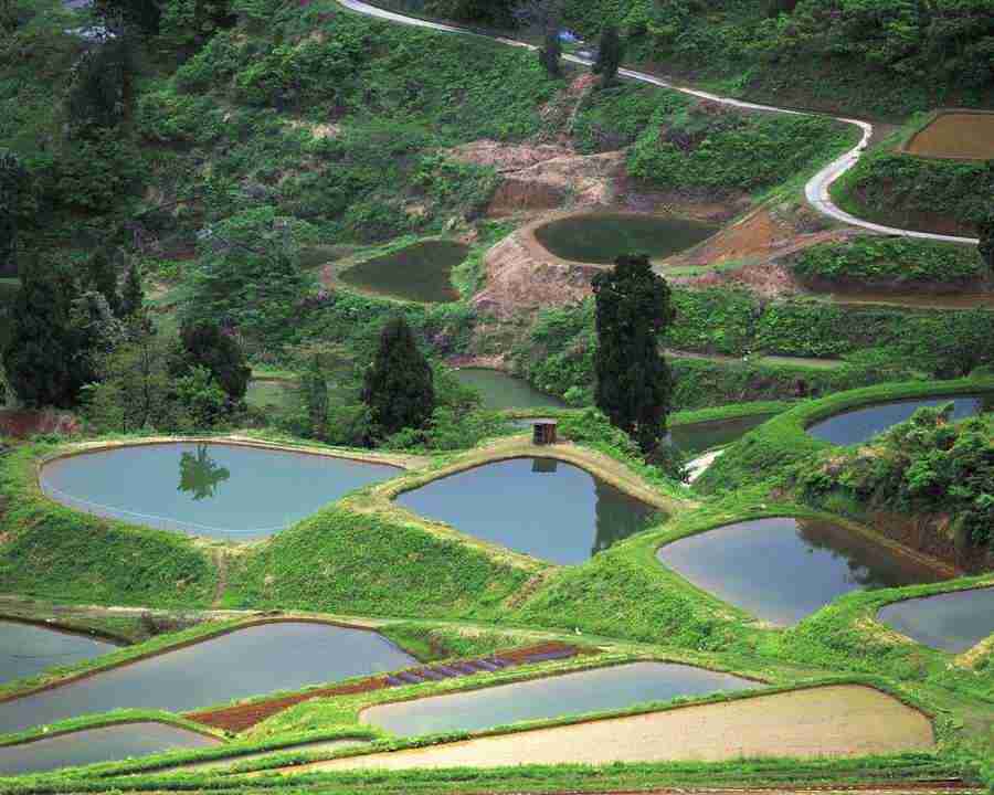 Japanese Four Seasons - Mixa Image Library ></a>
<script language=JavaScript> 
  var txt = 