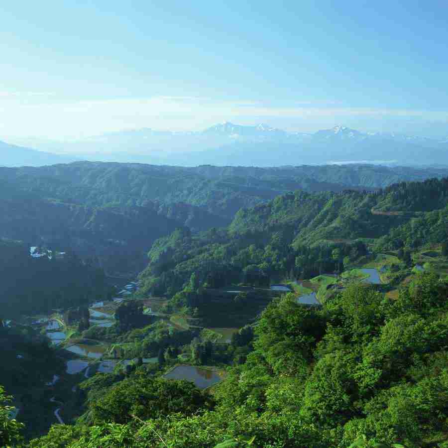 Japanese Four Seasons - Mixa Image Library ></a>
<script language=JavaScript> 
  var txt = 