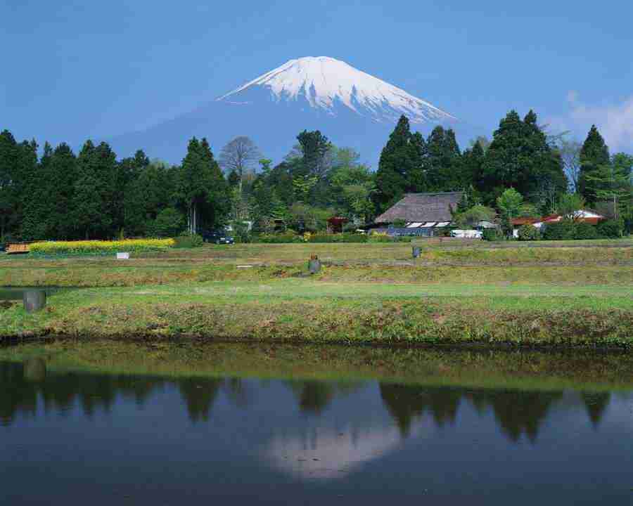 Japanese Four Seasons - Mixa Image Library ></a>
<script language=JavaScript> 
  var txt = 