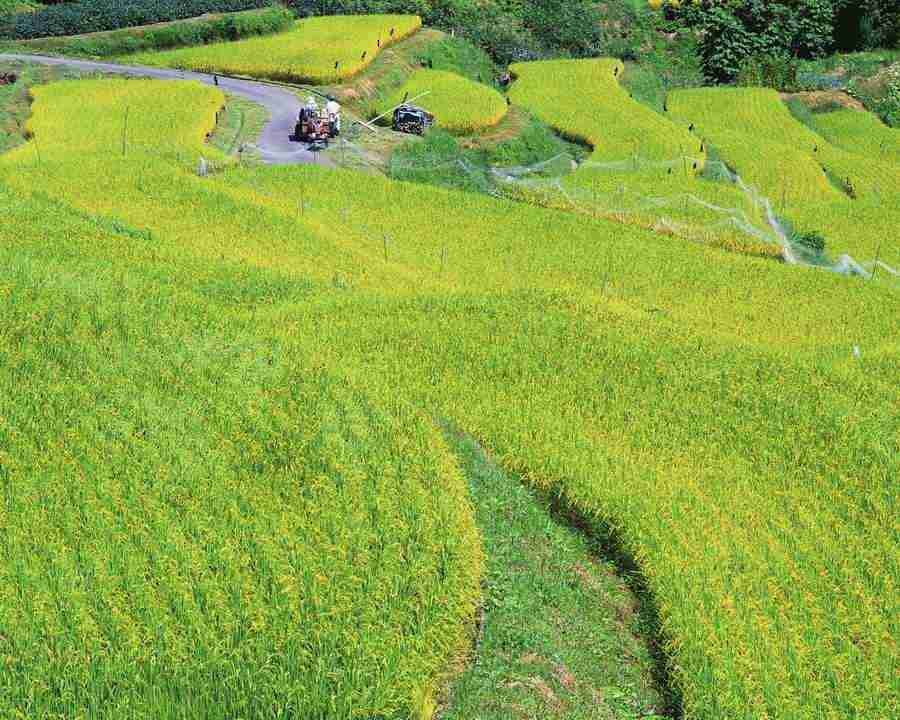 Japanese Four Seasons - Mixa Image Library ></a>
<script language=JavaScript> 
  var txt = 