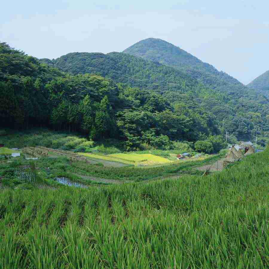 Japanese Four Seasons - Mixa Image Library ></a>
<script language=JavaScript> 
  var txt = 