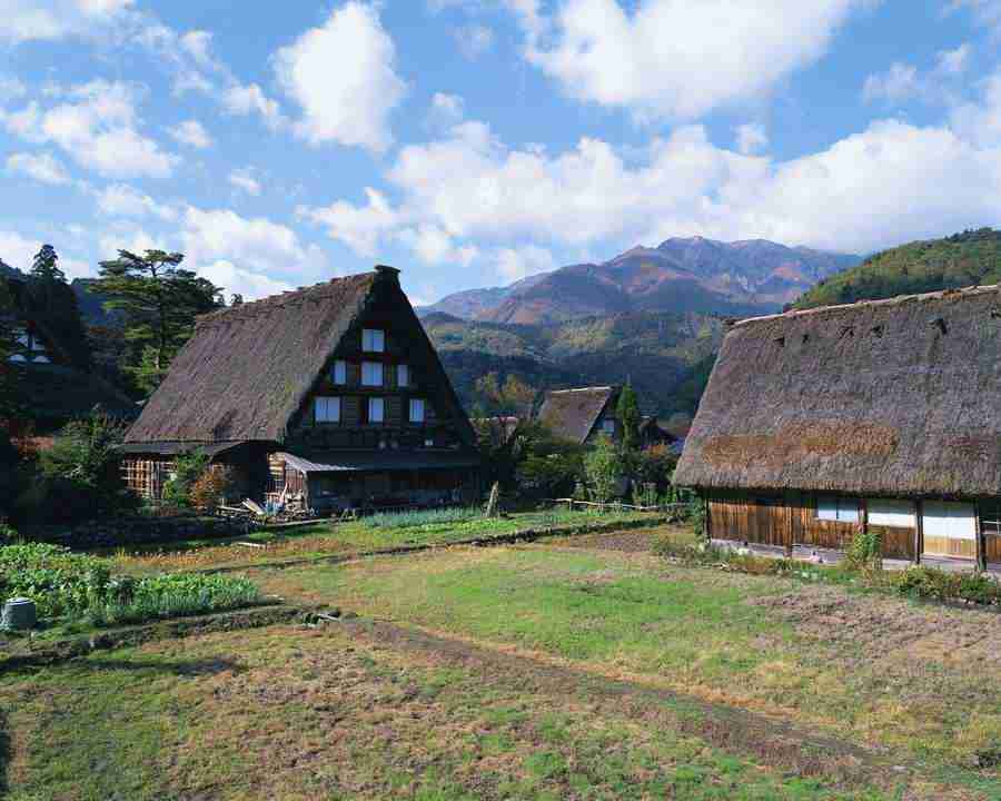 Japanese Four Seasons - Mixa Image Library ></a>
<script language=JavaScript> 
  var txt = 