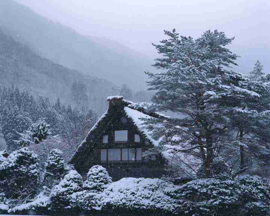 Japanese Four Seasons - Mixa Image Library ></a>
<script language=JavaScript> 
  var txt = 