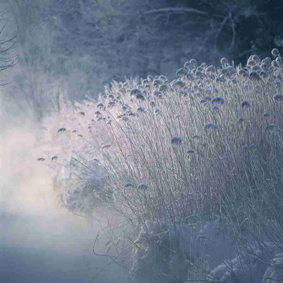 Japanese Four Seasons - Mixa Image Library ></a>
<script language=JavaScript> 
  var txt = 