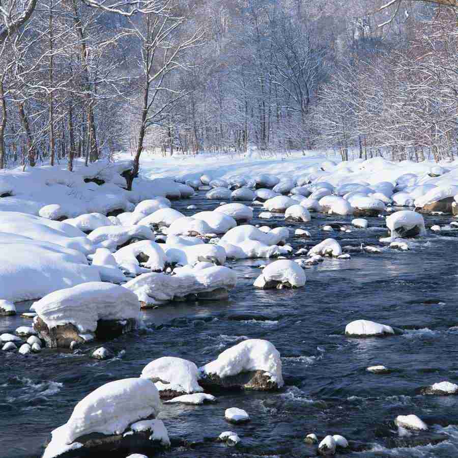 Japanese Four Seasons - Mixa Image Library ></a>
<script language=JavaScript> 
  var txt = 