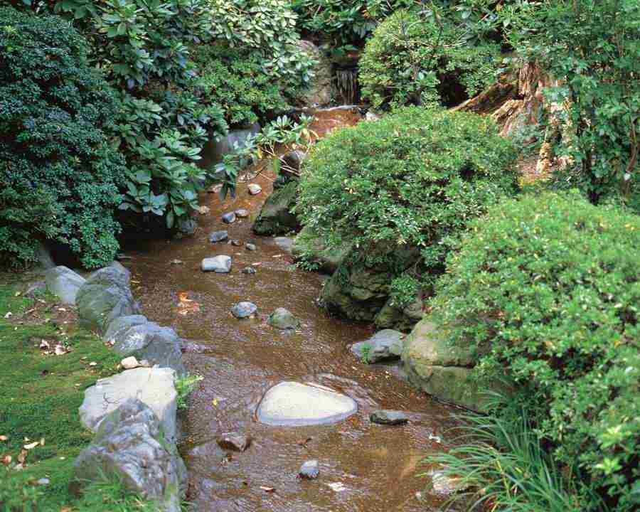 Kyoto - Mixa Image Library ></a>
<script language=JavaScript> 
  var txt = 