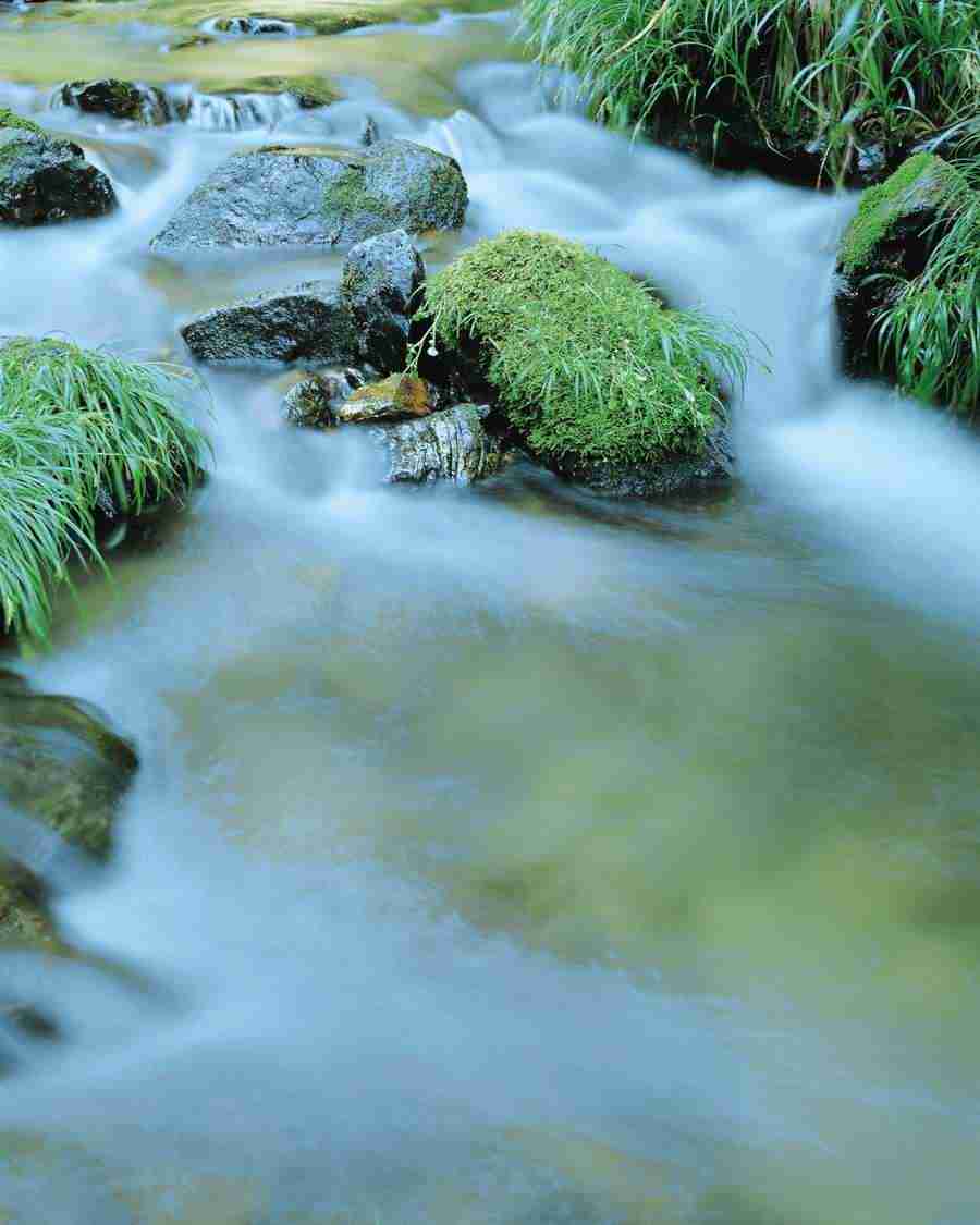 Kyoto - Mixa Image Library ></a>
<script language=JavaScript> 
  var txt = 