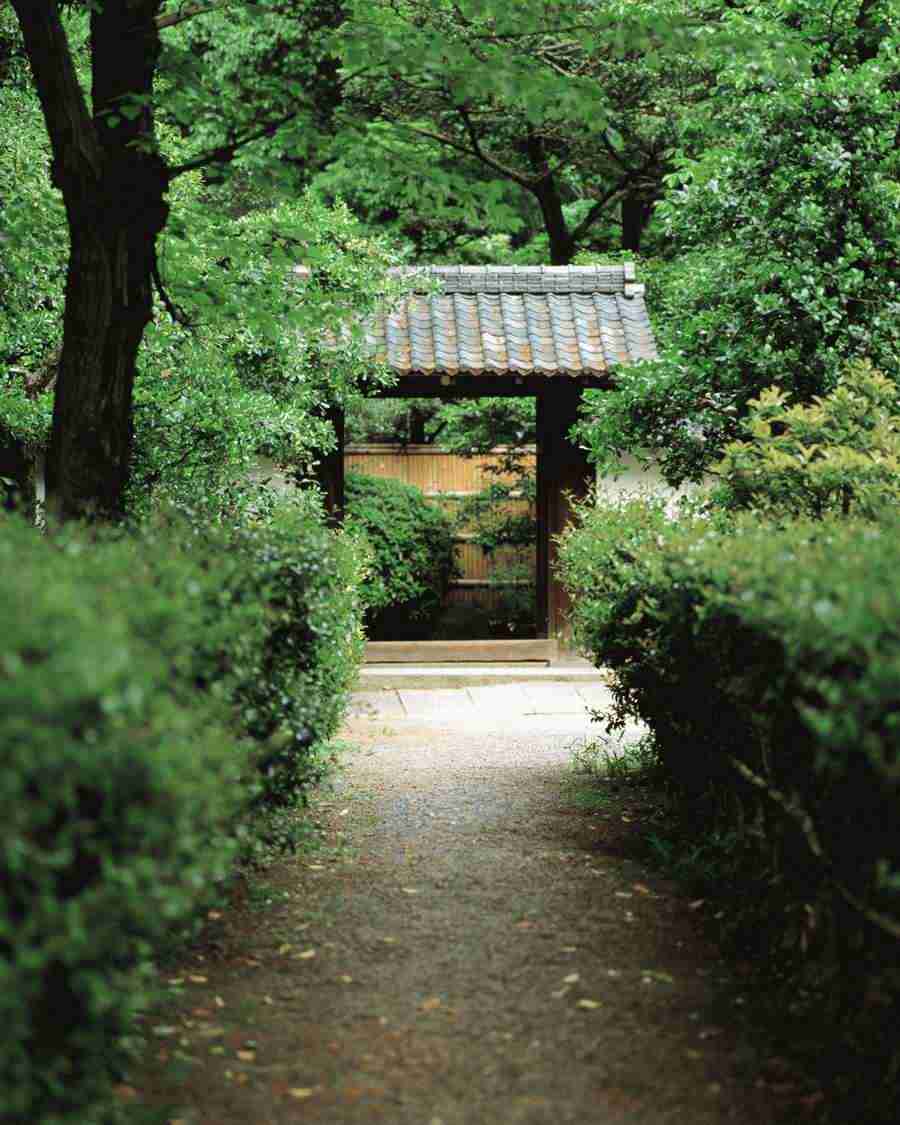 Kyoto - Mixa Image Library ></a>
<script language=JavaScript> 
  var txt = 