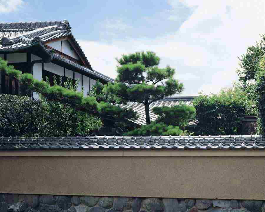 Kyoto - Mixa Image Library ></a>
<script language=JavaScript> 
  var txt = 