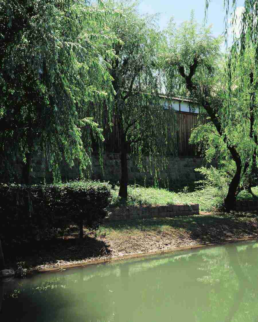 Kyoto - Mixa Image Library ></a>
<script language=JavaScript> 
  var txt = 