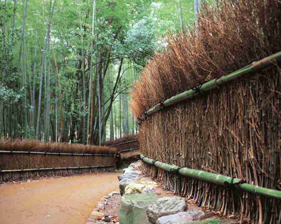 Kyoto - Mixa Image Library ></a>
<script language=JavaScript> 
  var txt = 