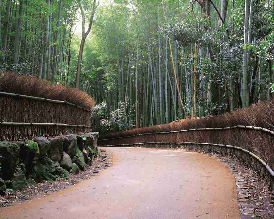 Kyoto - Mixa Image Library ></a>
<script language=JavaScript> 
  var txt = 