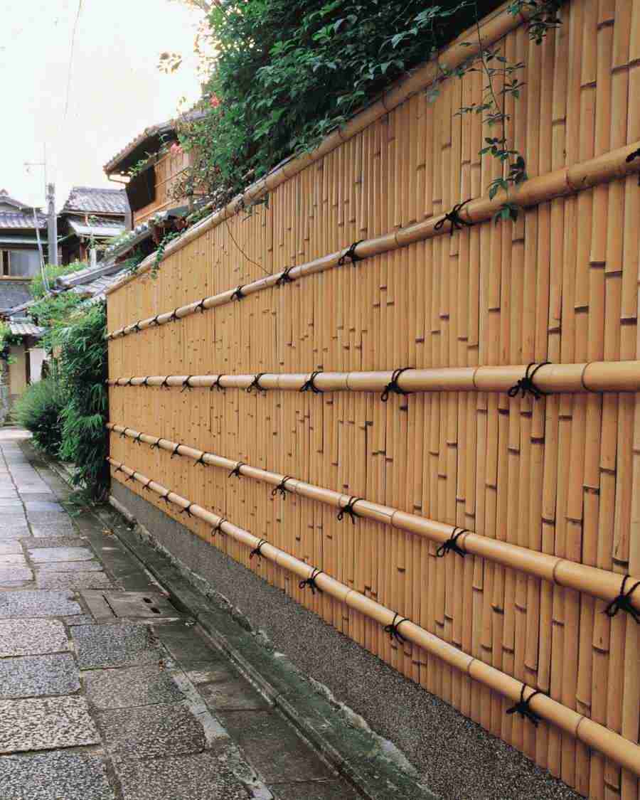Kyoto - Mixa Image Library ></a>
<script language=JavaScript> 
  var txt = 