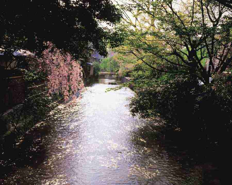 Kyoto - Mixa Image Library ></a>
<script language=JavaScript> 
  var txt = 