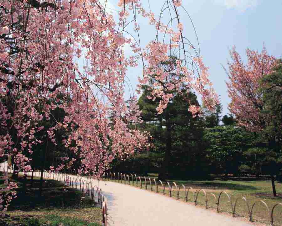 Kyoto - Mixa Image Library ></a>
<script language=JavaScript> 
  var txt = 