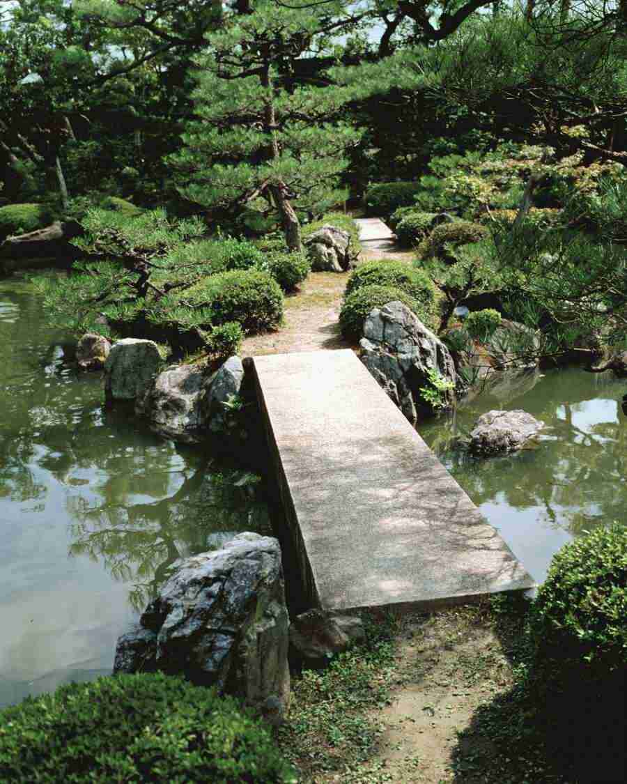 Kyoto - Mixa Image Library ></a>
<script language=JavaScript> 
  var txt = 