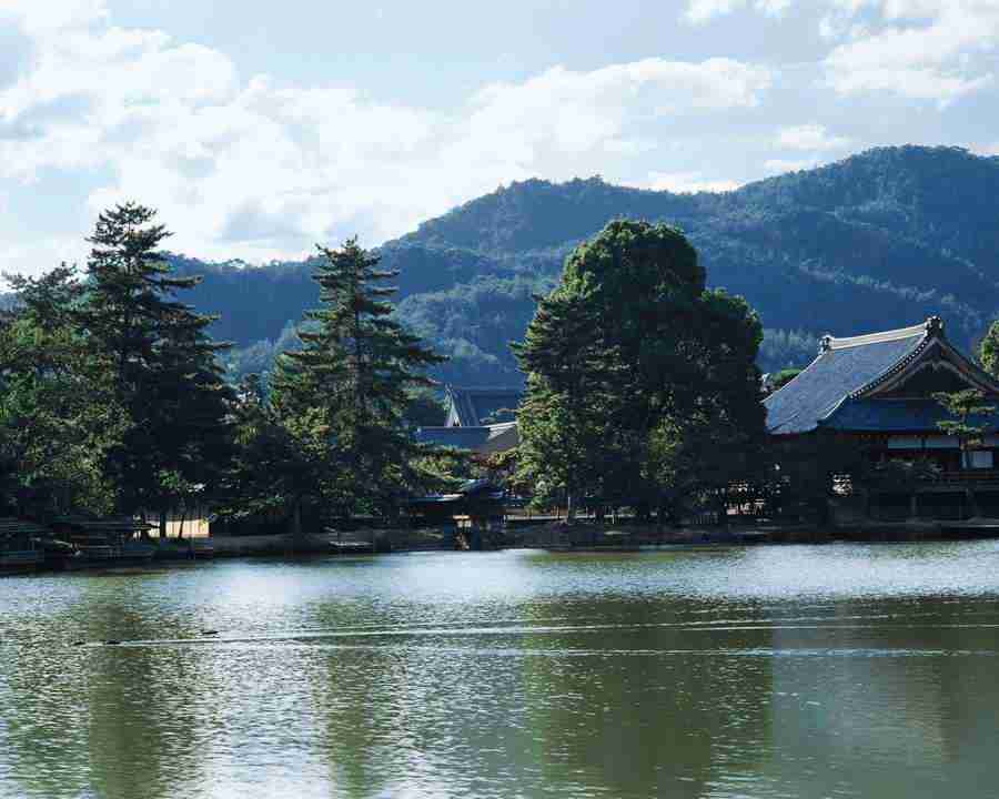Kyoto - Mixa Image Library ></a>
<script language=JavaScript> 
  var txt = 
