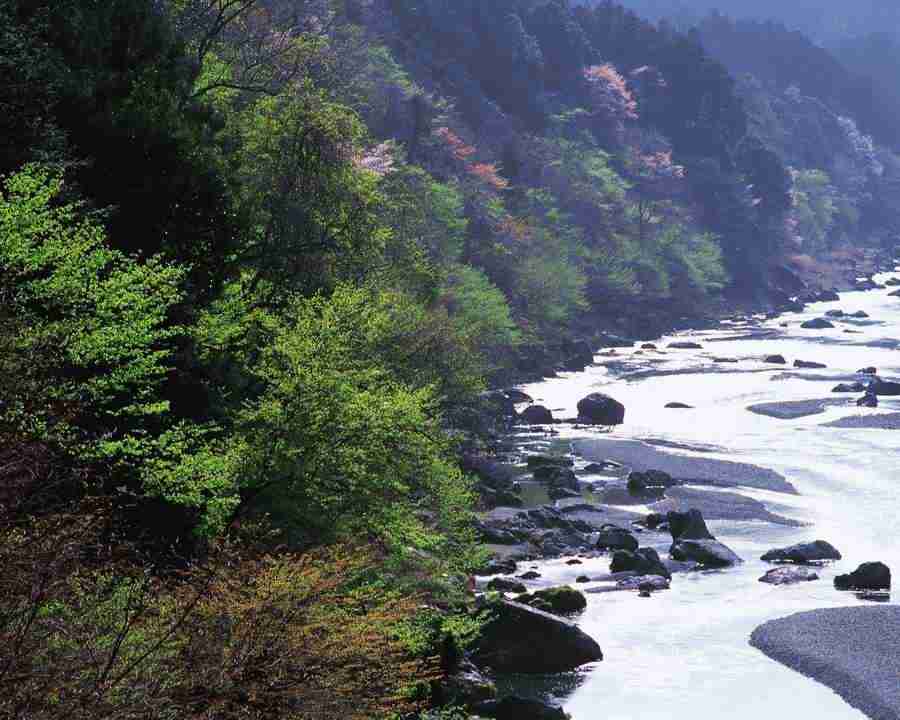 Mountain Trees - Mixa Image Library ></a>
<script language=JavaScript> 
  var txt = 