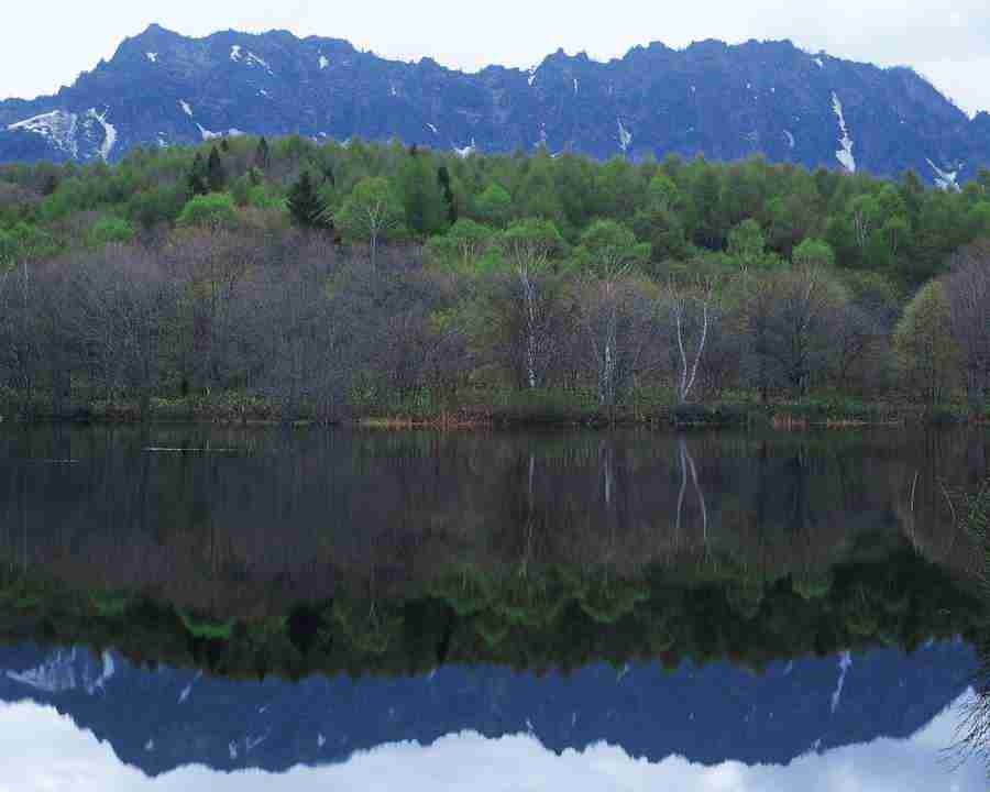 Mountain Trees - Mixa Image Library ></a>
<script language=JavaScript> 
  var txt = 