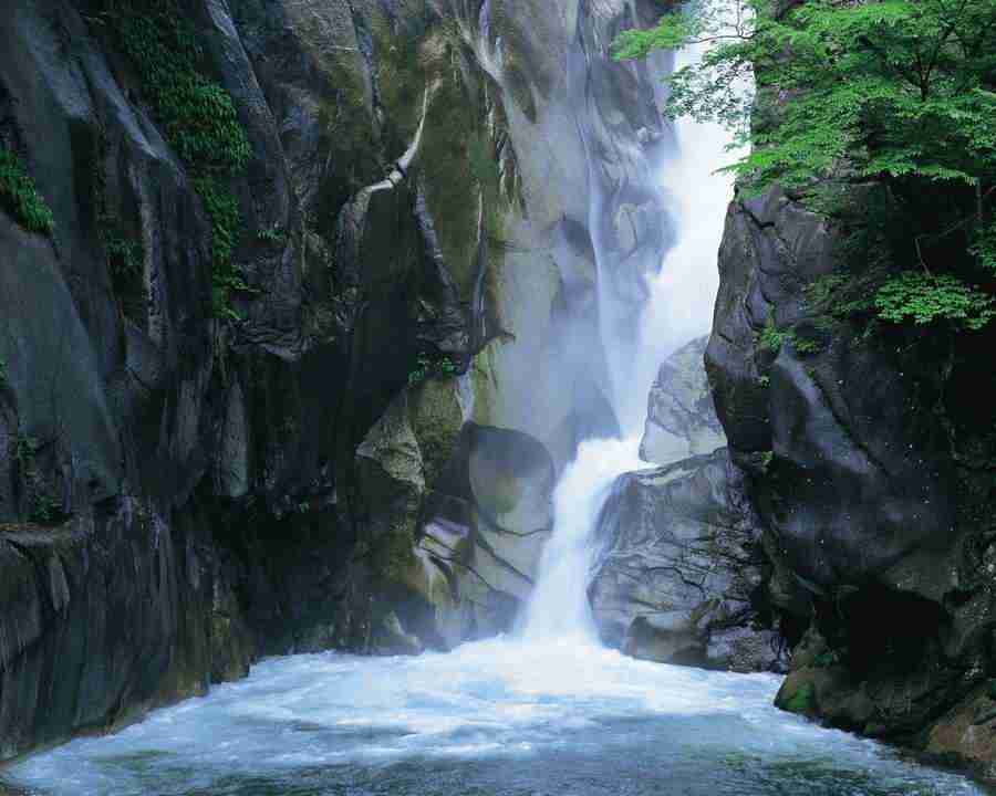 Mountain Trees - Mixa Image Library ></a>
<script language=JavaScript> 
  var txt = 