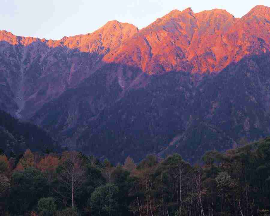 Mountain Trees - Mixa Image Library ></a>
<script language=JavaScript> 
  var txt = 