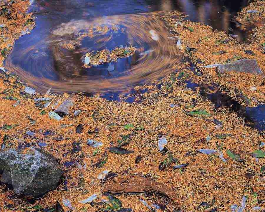 Mountain Trees - Mixa Image Library ></a>
<script language=JavaScript> 
  var txt = 