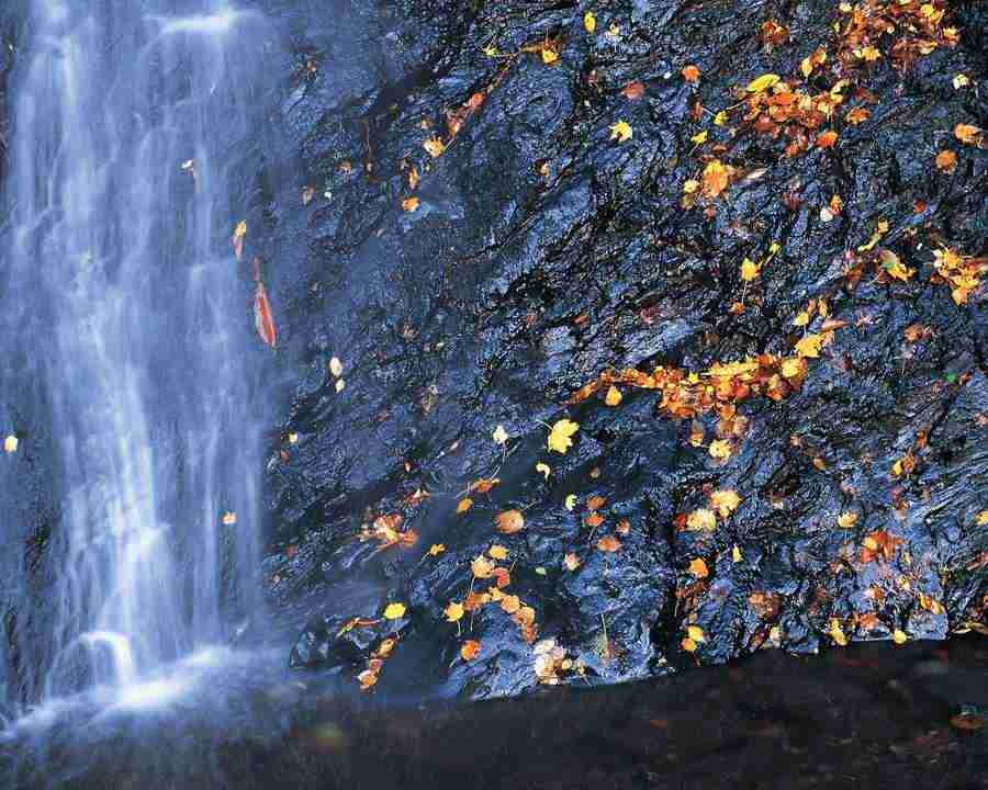 Mountain Trees - Mixa Image Library ></a>
<script language=JavaScript> 
  var txt = 