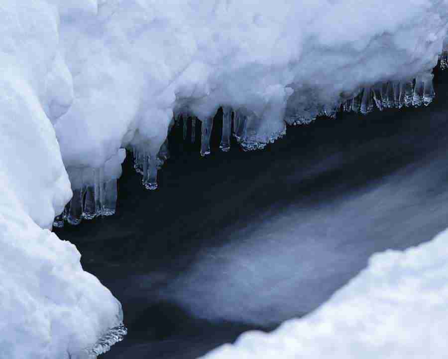 Mountain Trees - Mixa Image Library ></a>
<script language=JavaScript> 
  var txt = 