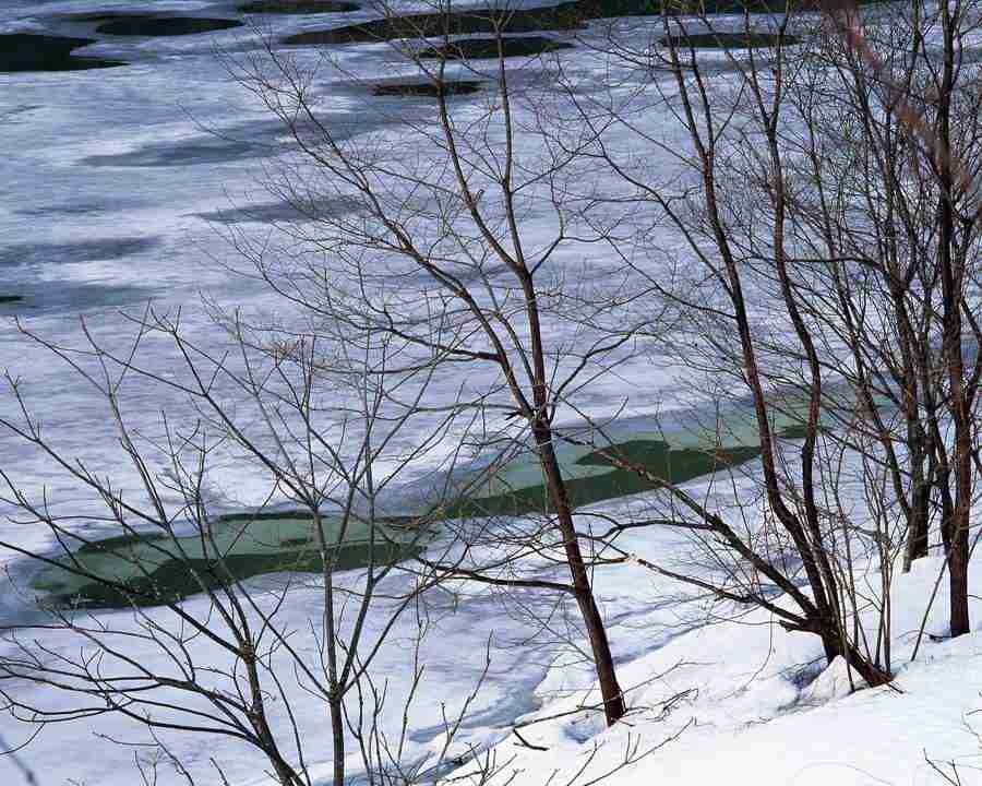 Mountain Trees - Mixa Image Library ></a>
<script language=JavaScript> 
  var txt = 