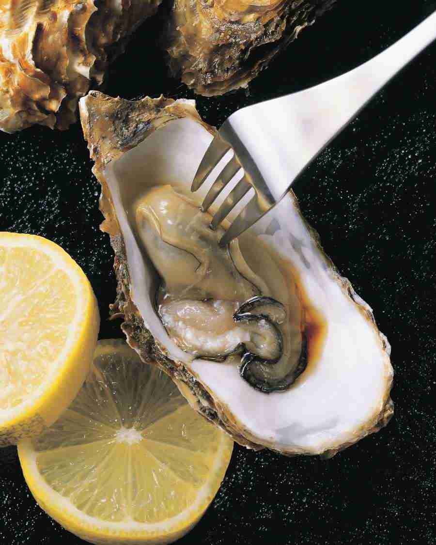 Mealtime - Mixa Image Library ></a>
<script language=JavaScript> 
  var txt = 