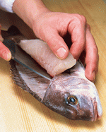 Mixa Image Library: Sushi Fish and Seafood 