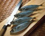 Mixa Image Library: Sushi Fish and Seafood 