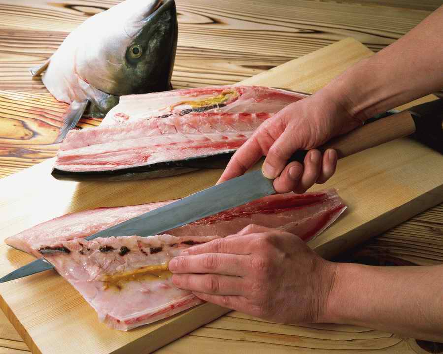 Sushi Fish and Seafood - Mixa Image Library ></a>
<script language=JavaScript> 
  var txt = 