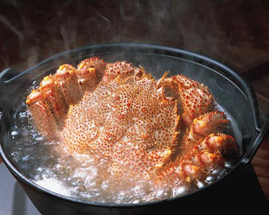 Sushi Fish and Seafood - Mixa Image Library ></a>
<script language=JavaScript> 
  var txt = 