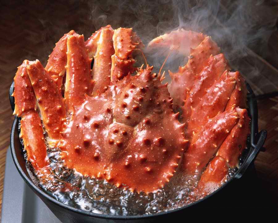 Sushi Fish and Seafood - Mixa Image Library ></a>
<script language=JavaScript> 
  var txt = 