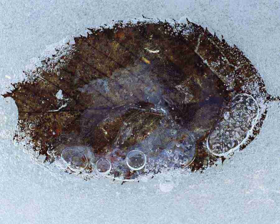 Seasonal Gems - Mixa Image Library ></a>
<script language=JavaScript> 
  var txt = 