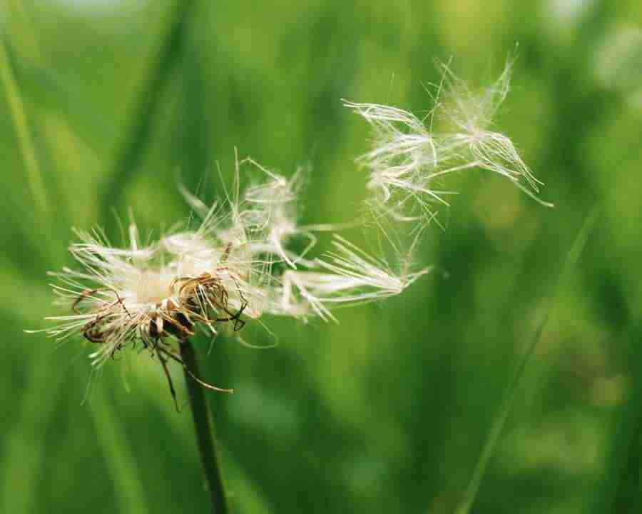 Seasonal Gems 2 - Mixa Image Library ></a>
<script language=JavaScript> 
  var txt = 