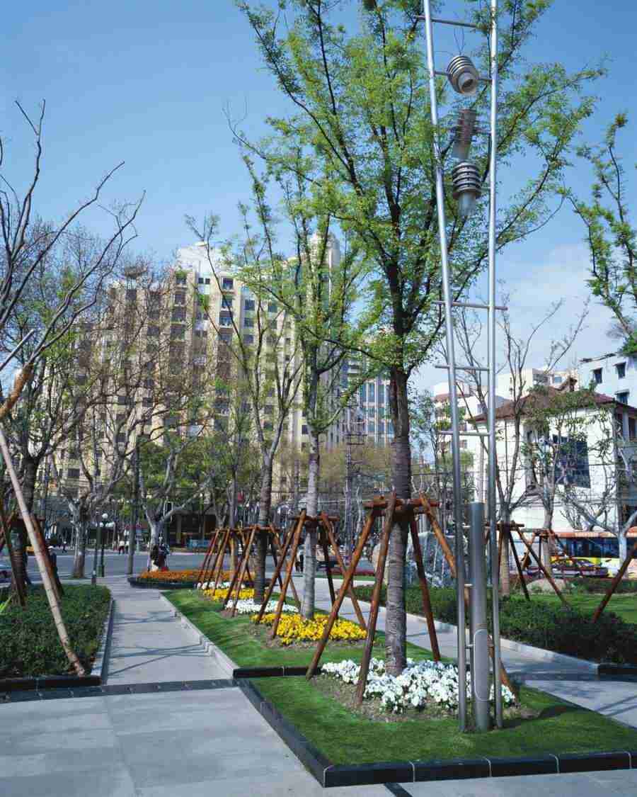 Shanghai - Mixa Image Library ></a>
<script language=JavaScript> 
  var txt = 