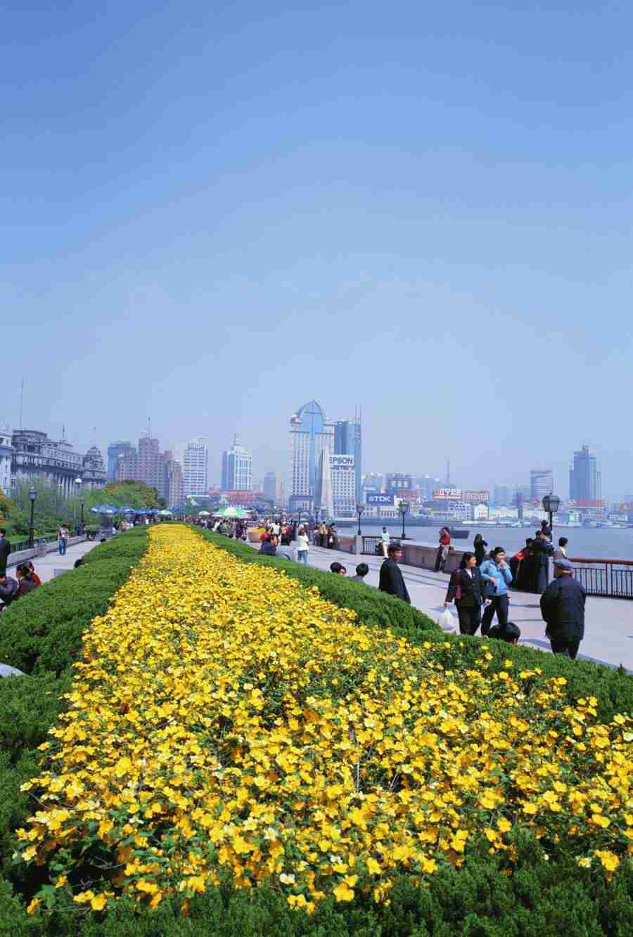 Shanghai - Mixa Image Library ></a>
<script language=JavaScript> 
  var txt = 