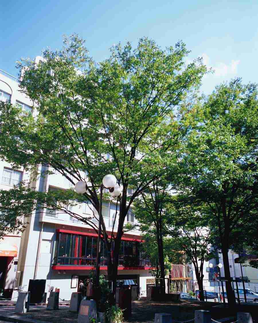 Tokyo 1 - Mixa Image Library ></a>
<script language=JavaScript> 
  var txt = 