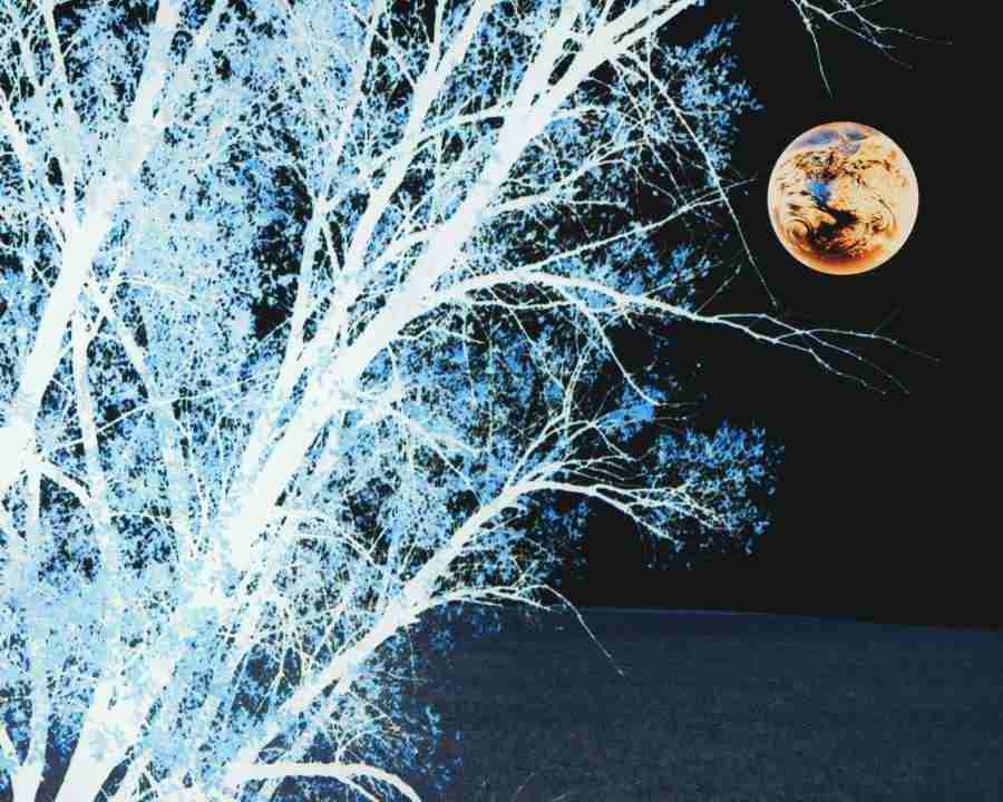 The Cosmos - Mixa Image Library ></a>
<script language=JavaScript> 
  var txt = 