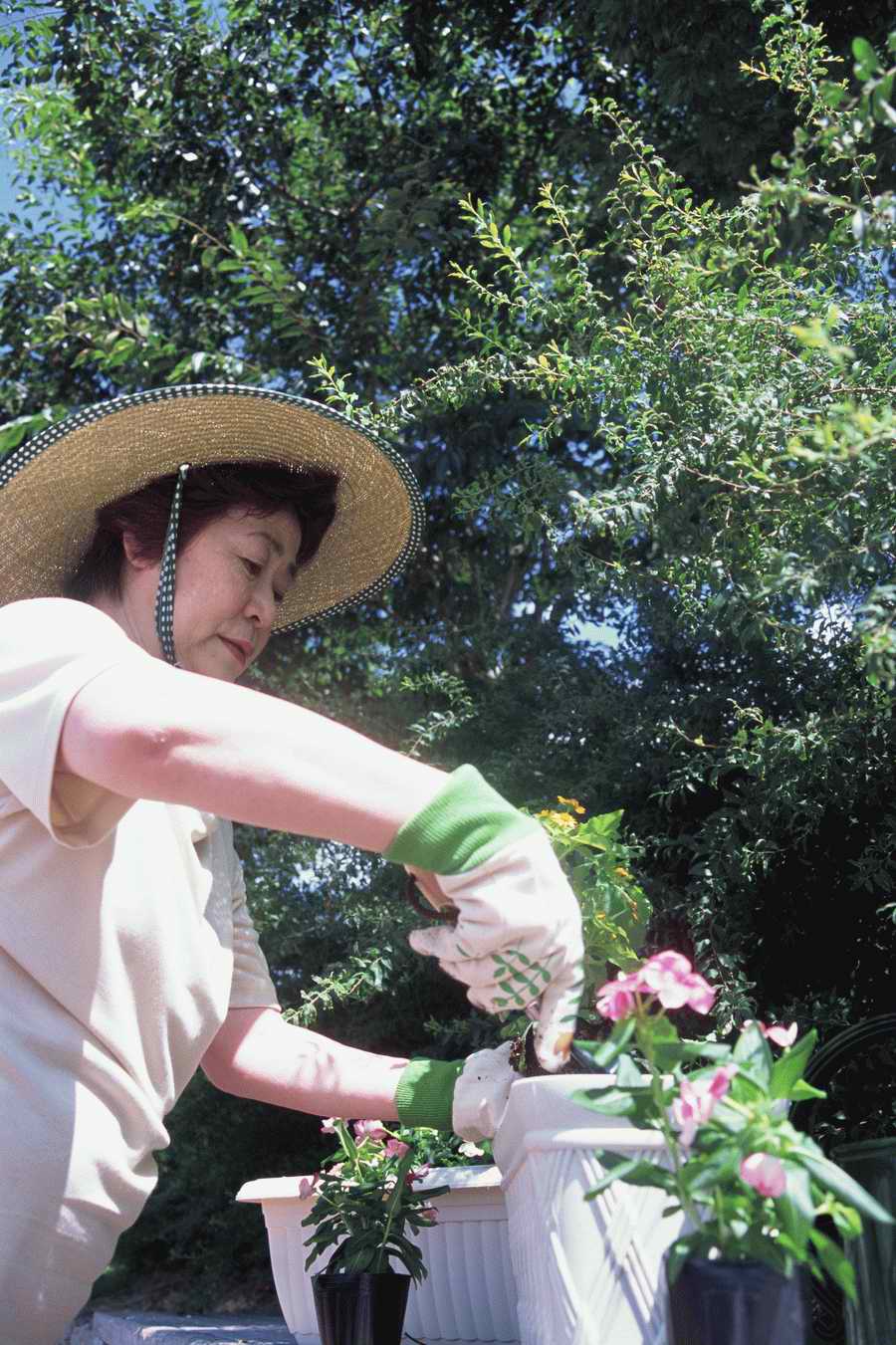 Three Generations - Mixa Image Library ></a>
<script language=JavaScript> 
  var txt = 