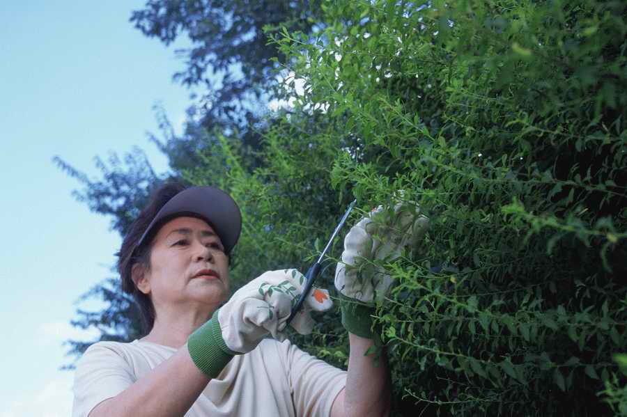 Three Generations - Mixa Image Library ></a>
<script language=JavaScript> 
  var txt = 