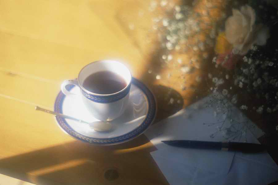 Tasty Life Table - Mixa Image Library ></a>
<script language=JavaScript> 
  var txt = 