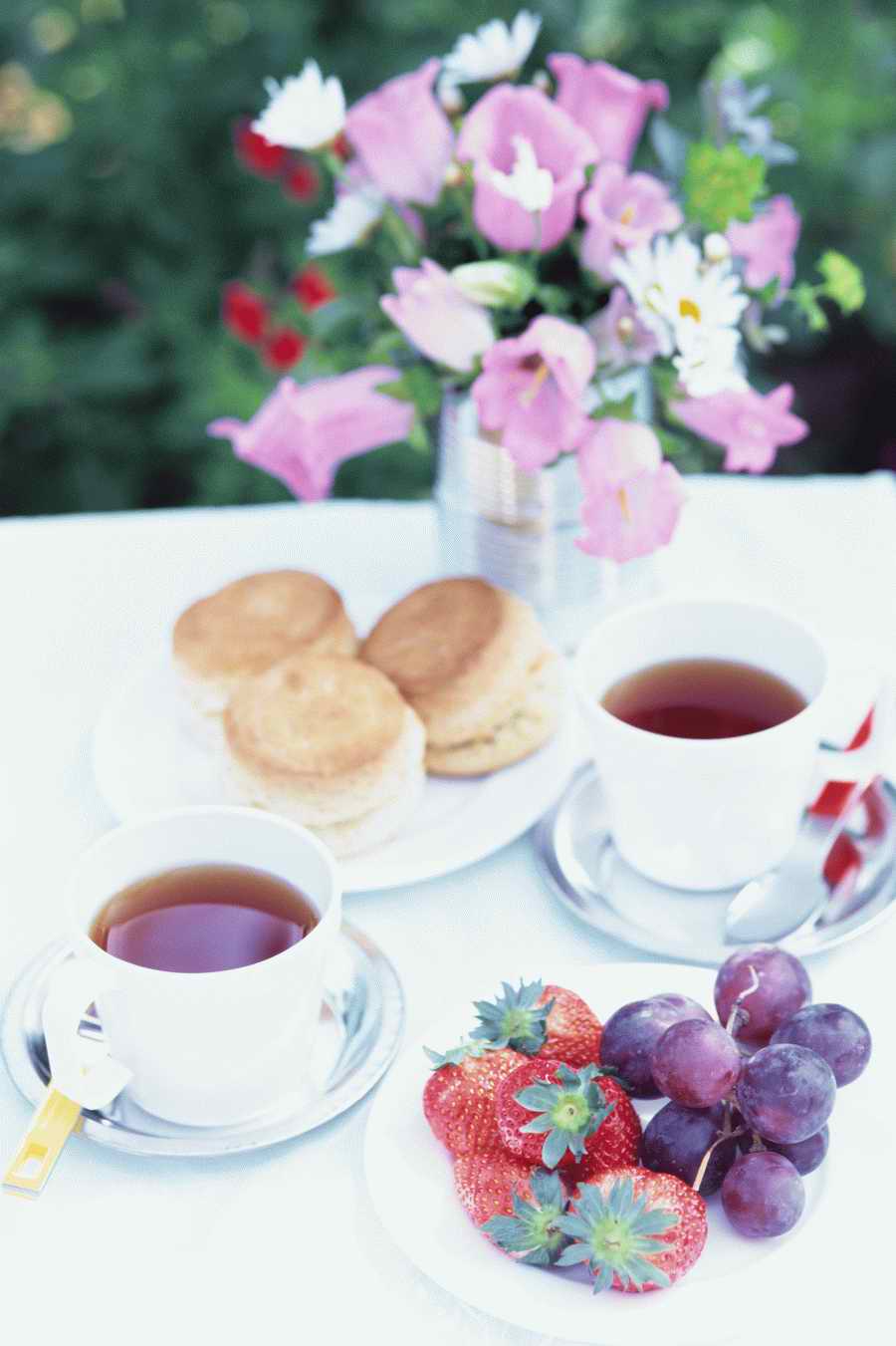 Tasty Life Table - Mixa Image Library ></a>
<script language=JavaScript> 
  var txt = 