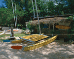 Mixa Image Library: Tropical Vacation 