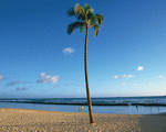 Mixa Image Library: Tropical Vacation 