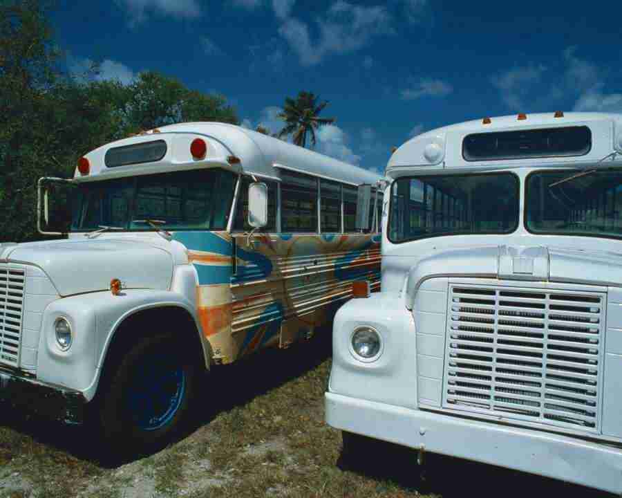 Tropical Vacation - Mixa Image Library ></a>
<script language=JavaScript> 
  var txt = 