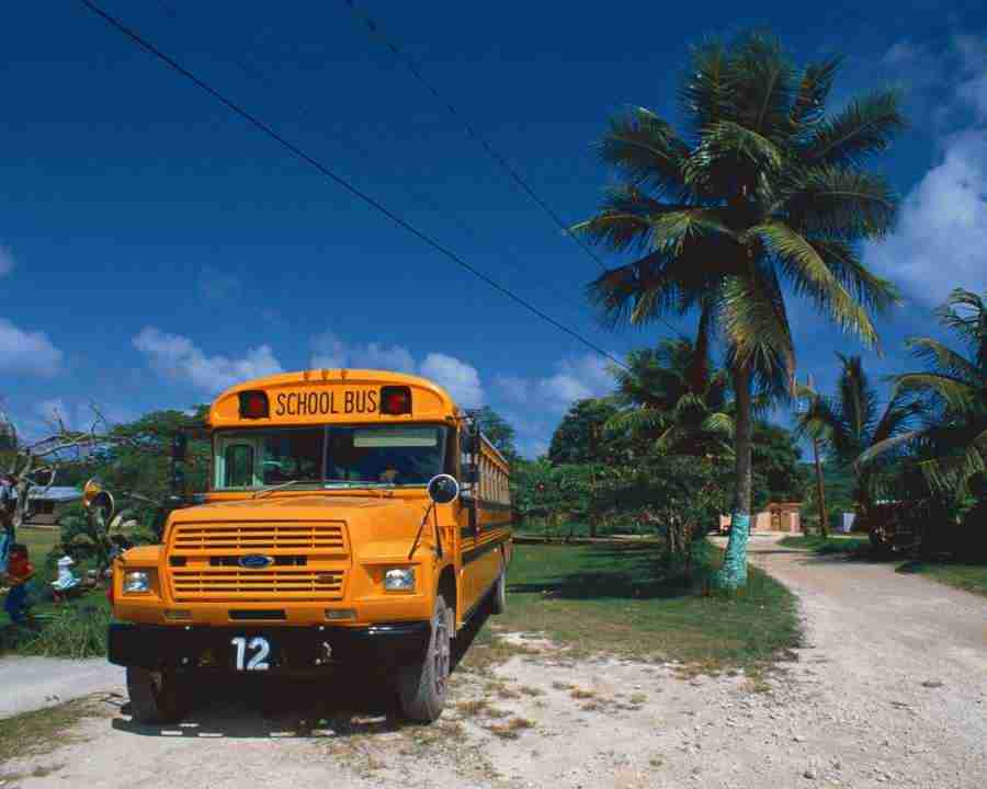 Tropical Vacation - Mixa Image Library ></a>
<script language=JavaScript> 
  var txt = 