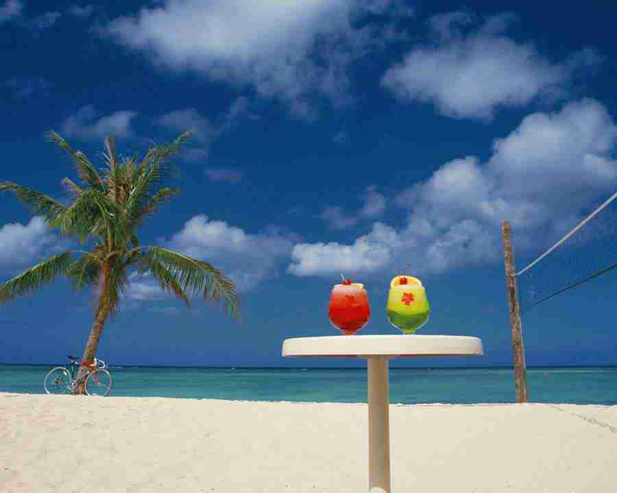 Tropical Vacation - Mixa Image Library ></a>
<script language=JavaScript> 
  var txt = 